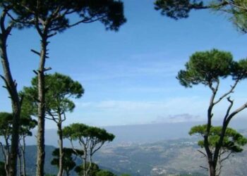 اليكم طقس نهاية الاسبوع