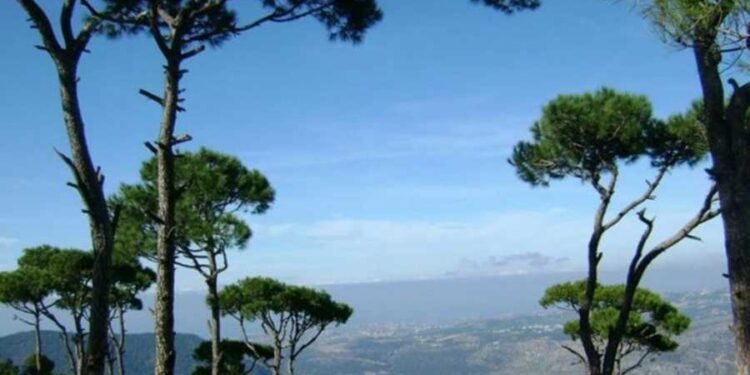 اليكم طقس نهاية الاسبوع