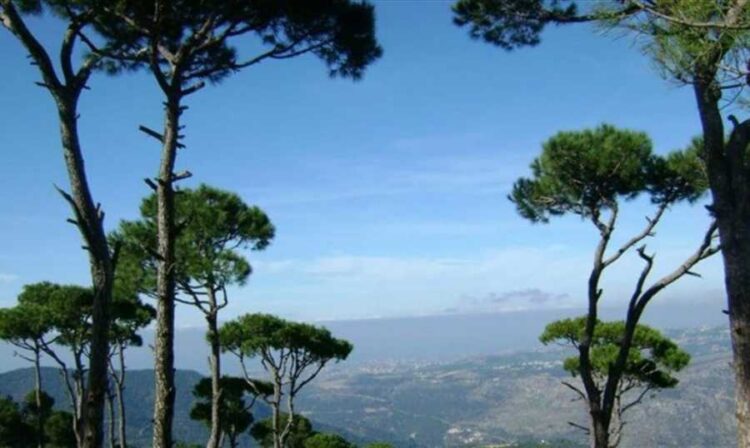 اليكم طقس نهاية الاسبوع