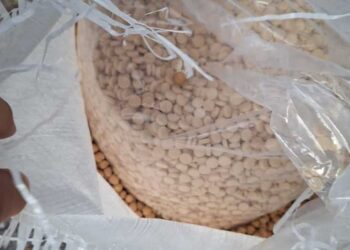 #لبنان.. بالصورة: ضبط 9 مليون حبّة كبتاغون بأكياس حبوب معدة للتهريب الى كينيا