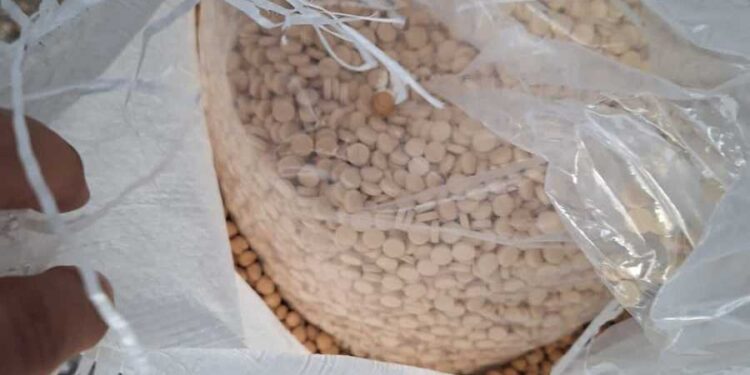 #لبنان.. بالصورة: ضبط 9 مليون حبّة كبتاغون بأكياس حبوب معدة للتهريب الى كينيا