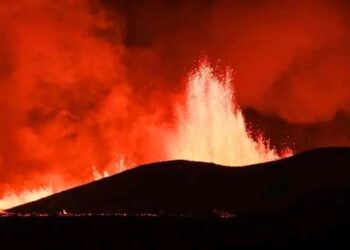 اليكم سعر صرف الدولار صباح اليوم