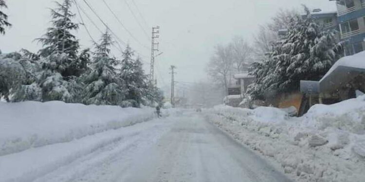 الثلوج عطّلت مدارس ومؤسسات قرى الشوف الأعلى