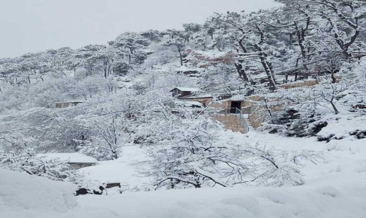 منخفضان جوّيان يشهدهما لبنان