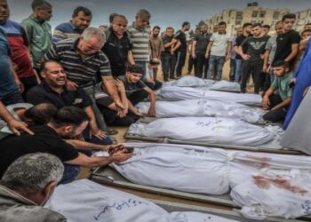 19 مجزرة للاحتلال في قطاع غزة خلال 24 ساعة