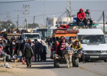فلسطين.. الاحتلال يتعمّد القتل والتنكيل لتهجير سكان قطاع غزّة قسرًا