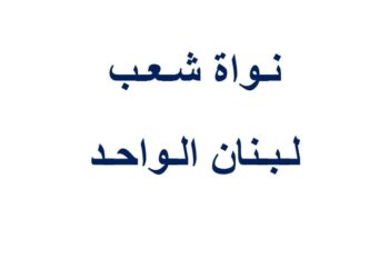 بيان حول ىيات الله الكريمة في طوفان الاقصى