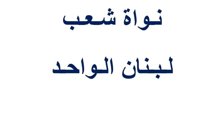 بيان حول ىيات الله الكريمة في طوفان الاقصى