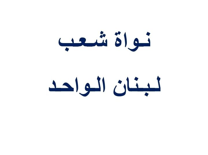 بيان حول ىيات الله الكريمة في طوفان الاقصى