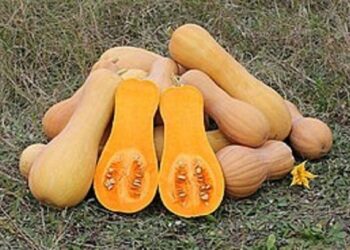 مادة غذائية تساعد على تخفيض ضغط الدم