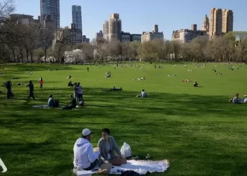 دراسة تكشف عن حل يساعد الإنسان لكي يظهر أصغر سنًا