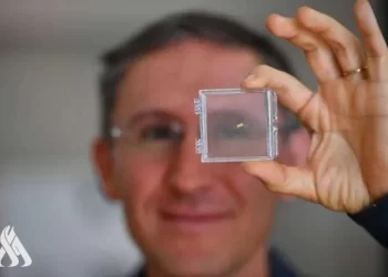 علماء يبتكرون نموذجا لدماغ بشري