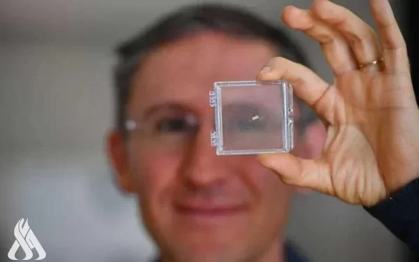 علماء يبتكرون نموذجا لدماغ بشري