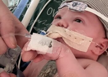 باحثون: أول قلب جزئي” مزروع في العالم ينمو مع الطفل