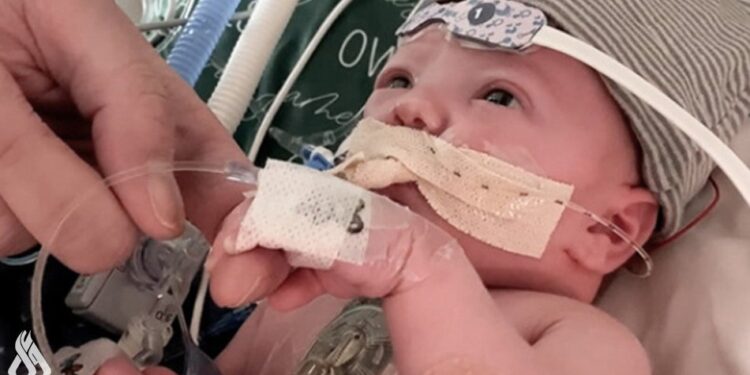 باحثون: أول قلب جزئي” مزروع في العالم ينمو مع الطفل