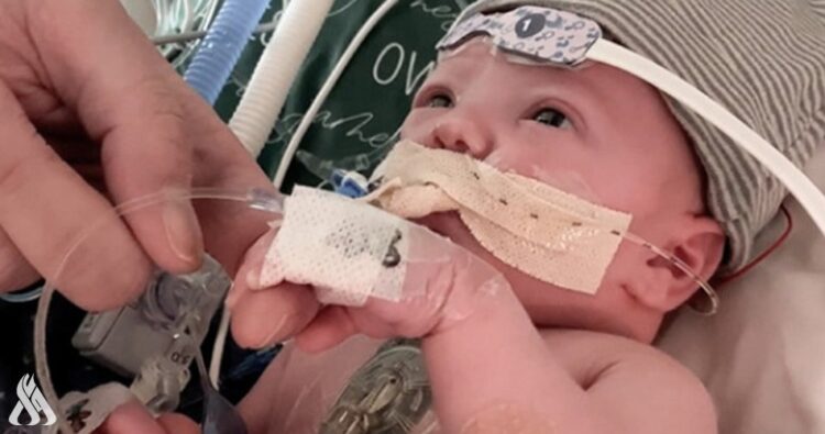 باحثون: أول قلب جزئي” مزروع في العالم ينمو مع الطفل