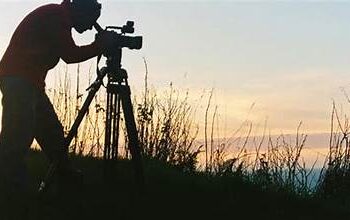 دعماً لفلسطين..  روابط أفلام عنها مجاناً