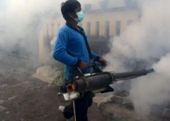 تحذير عالمي من أسوأ موسم لمرض فيروسي بلدغة بعوضة