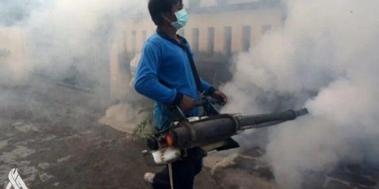 تحذير عالمي من أسوأ موسم لمرض فيروسي بلدغة بعوضة