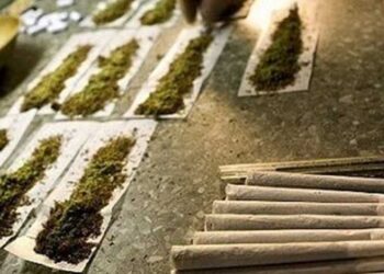 ضبط 70 كليوغراماً من الحشيشة داخل منزل رئيسة بلدية في فرنسا