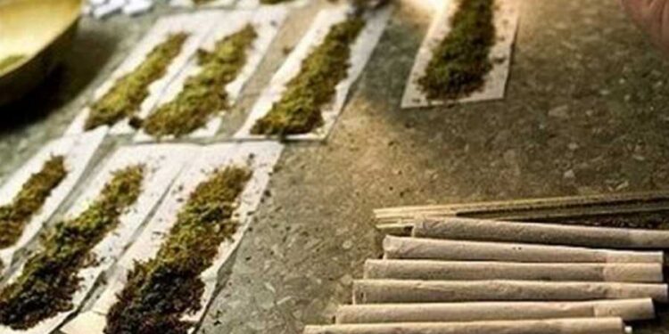 ضبط 70 كليوغراماً من الحشيشة داخل منزل رئيسة بلدية في فرنسا