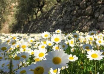 الطقس على استقراره في الايام المقبلة