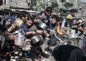 وكالة إغاثة أمريكية تعلن بدء المجاعة في شمال غزة