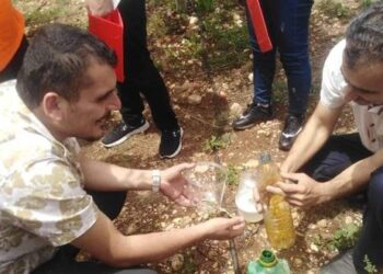 زراعة طرطوس تطلق حملة مكافحة ذبابة الفاكهة