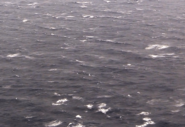 غرق سفينة في البحر الأسود طاقمها من السوريين والمصريين