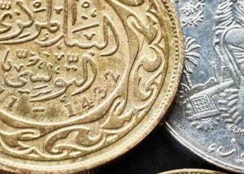 %50 خسائر قيمة الدينار التونسي بسبب إملاءات صندوق النقد