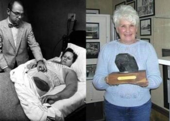 أغرب حادثة في التاريخ قصة حقيقية أغرب من الخيال  اليكم تفاصيلها…