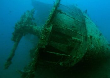 كشف لغز سفينة دنماركية غرقت قبل أكثر من 500 عام