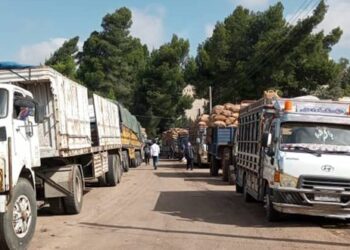 بدء استلام محصول الشعير من فلاحي درعا وحماة