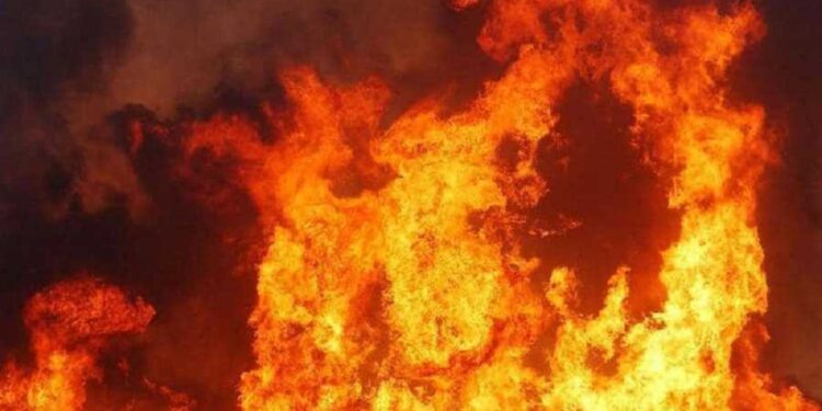 5 قتلى وعشرات الجرحى بحرائق غابات في تركيا