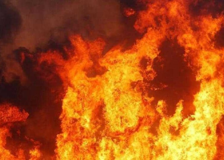 5 قتلى وعشرات الجرحى بحرائق غابات في تركيا