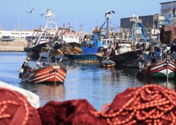 المغرب.. دينامية “الاقتصاد الأزرق” .. تدابير تحفيزية تواكب الاستثمارات