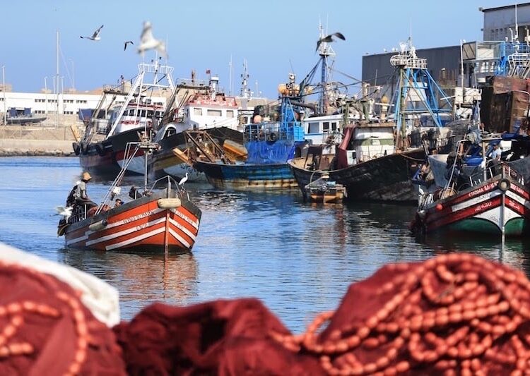 المغرب.. دينامية “الاقتصاد الأزرق” .. تدابير تحفيزية تواكب الاستثمارات