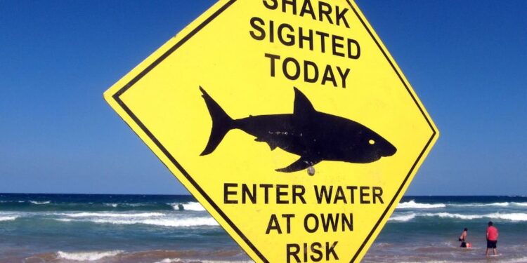 إغلاق بعض شواطئ فلوريدا عقب هجومين لأسماك القرش