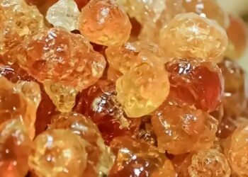 السودان.. كيف أثرت الحرب على أكبر منتج للصمغ العربي بالعالم؟