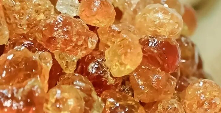 السودان.. كيف أثرت الحرب على أكبر منتج للصمغ العربي بالعالم؟