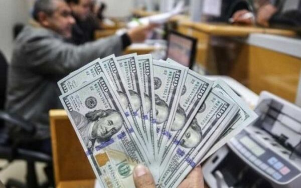 مصر: ارتفاع صافي احتياطيات النقد الأجنبي 258 مليون دولار في يونيو