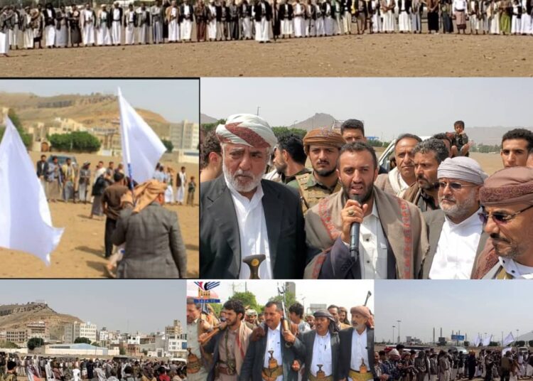 اليمن.. نجاح وساطة قبلية قادها المراغة الزلب بإنهاء قضية قتل بين آل اللدن وآل الحسني من المحويت