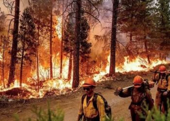 اجلاء نحو 13 الف شخص من كاليفورنيا ببسب حرائق الغابات