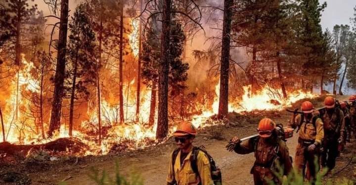 اجلاء نحو 13 الف شخص من كاليفورنيا ببسب حرائق الغابات