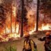 اجلاء نحو 13 الف شخص من كاليفورنيا ببسب حرائق الغابات