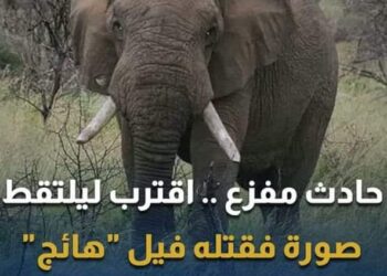 صاعقةرعدية تودي بحياة شابة في اليمن