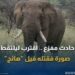 صاعقةرعدية تودي بحياة شابة في اليمن