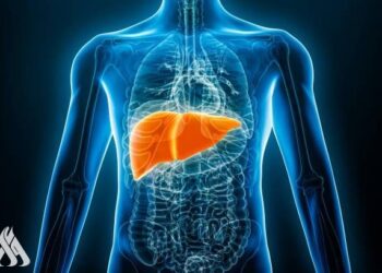 إخصائيون يحددون أفضل المنتجات لاستعادة صحة الكبد