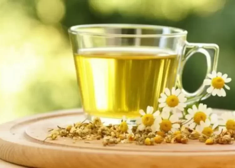 شاي أعشاب شائع يقلل من التوتر والقلق على الفور