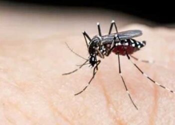 أكثر من ثلاثين ألف إصابة و12 وفاة بحمى الضنك في سريلانكا هذا العام